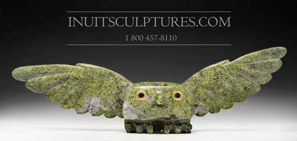 16" Masterpiece Owl Spirit by Famous Toonoo Sharky