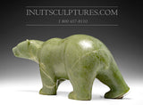 16" Unique Colored Walking Bear by Tuk Nuna