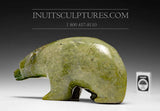 Ours 9" par Lucassie Kolola
