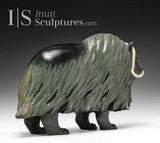 13" Muskox by Derrald Taylor *Waterfall*