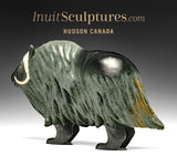 13" Muskox by Derrald Taylor *Waterfall*