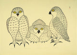 1982 CONFERENCE OF OWLS by Kananginak Pootoogook