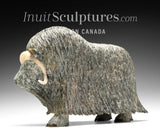 14" SIGNATURE Muskox by Lucassie Ikkidluak  *Glint*