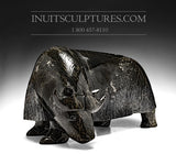 16" Muskox by Noah Jaw *Titanic*