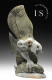 17" SIGNATURE Eagle & Fish by Pits Qimirpik *Spring Training* CURATOR'S CHOICE