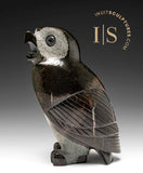 10"  SIGNATURE Owl by Pits Qimirpik *Bitter Dark Chocolate Part Two* CURATOR'S CHOICE