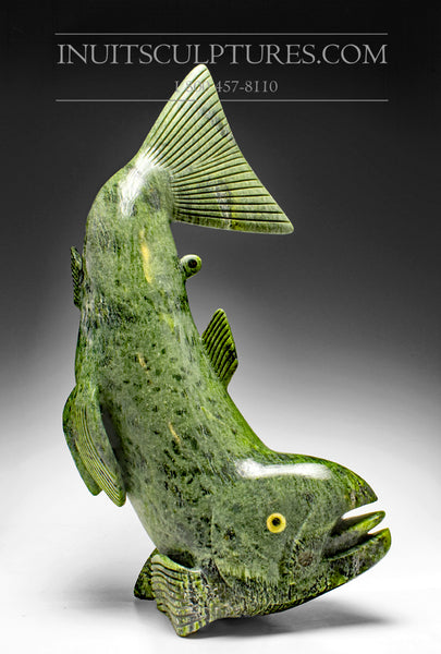 22" Electric Green Arctic Char Fish by Toonoo Sharky