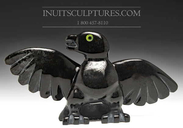 Poussin oiseau 9" « Covid Collection » aux yeux verts par Toonoo Sharky