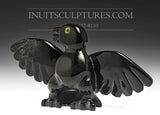 Poussin oiseau 9" « Covid Collection » aux yeux verts par Toonoo Sharky