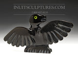 Poussin oiseau 9" « Covid Collection » aux yeux verts par Toonoo Sharky